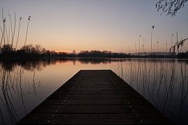 Fade Out by Scott McQuaide