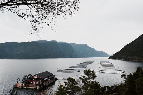 Zalmkwekerij Noorwegen