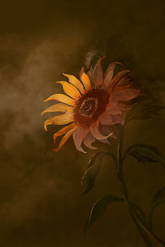 Vincent