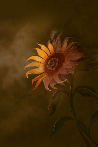 Vincent