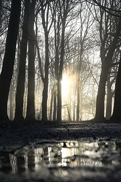 Hemmensebos Teil 55 von Tania Perneel