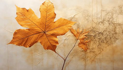 Bloemblaadjes in Precisie