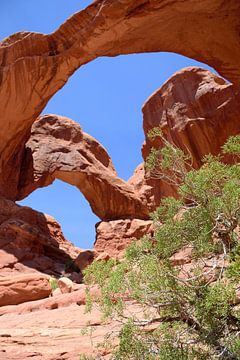 The Double Arch by Frank's Awesome Travels