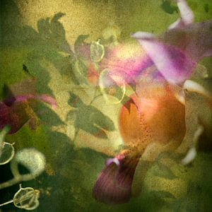 baroque