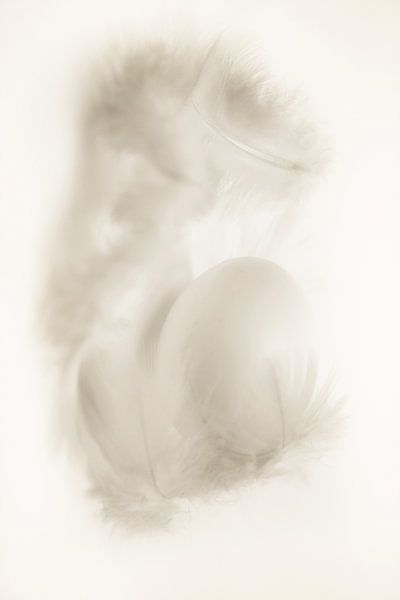 Hug von Dagmar Marina