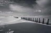 De Zee by Klaas Fidom thumbnail