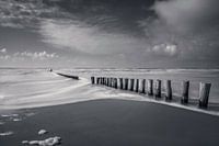 De Zee