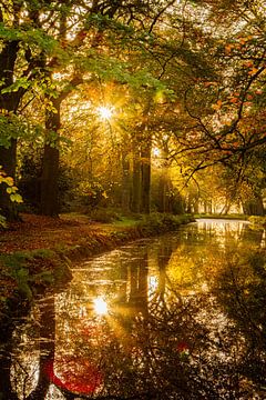 reflectie van bomen met herfstkleuren in stilstaand water