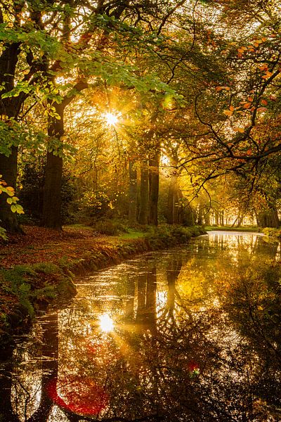 Spiegelung von Bäumen mit Herbstfarben bei stehendem Wasser von Margriet Hulsker