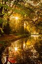 reflectie van bomen met herfstkleuren in stilstaand water van Margriet Hulsker thumbnail