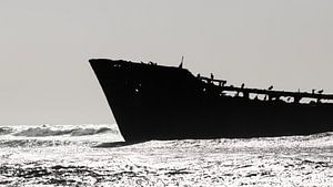 Schiffswrack am Strand von VIDEOMUNDUM