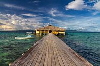 Herzlich willkommen auf den Hapi-Inseln! - Salomoninseln von Erwin Blekkenhorst Miniaturansicht