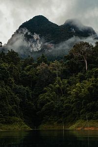 Überwucherte Felsen und Dschungel in Khao Sok, Thailand von Nathanael Denzel Allen