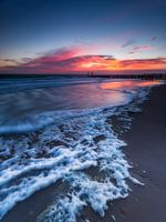 Washed ashore 