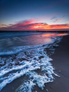 Washed ashore 