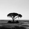 Africa tree van Alice Sies