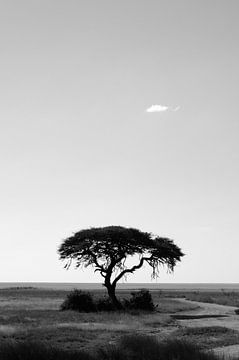 Africa tree van Alice Sies