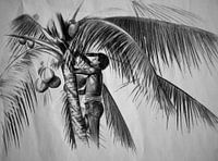 Palm tree illustration