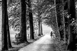 Auf einem Spaziergang im Regen von Tim Briers