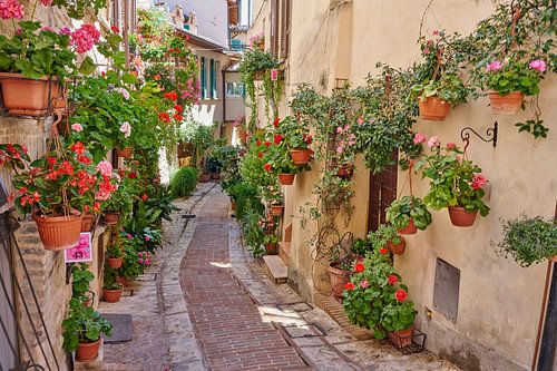 Blumenschmuck in Spello, Umbrien