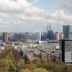 Rotterdam skyline with a view of the Erasmus Bridge and the Kop van Zuid by W J Kok