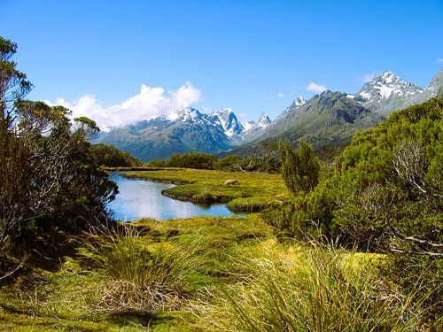 Routeburn Track von Gert-Jan Siesling