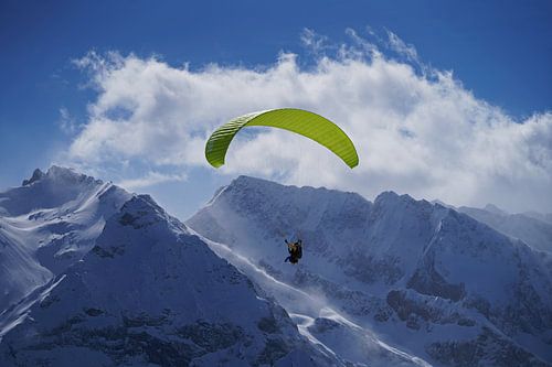 Paragliding in de Tuxer Alpen