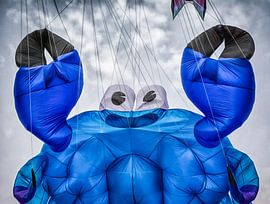 Drachenfest Fehmarn by Dirk Bartschat