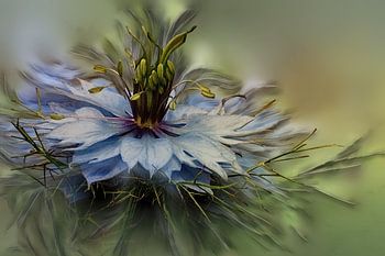 Juffertje in het Groen