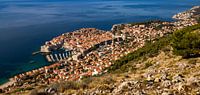 Dubrovnik, Kroatië van Adelheid Smitt thumbnail