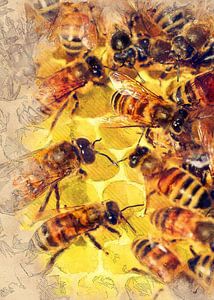 Bienen Tier Kunst #Biene #Bienen
