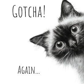 Coole Katze - Schon wieder erwischt von Melanie Viola