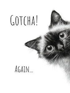 Cool Cat – Gotcha, again