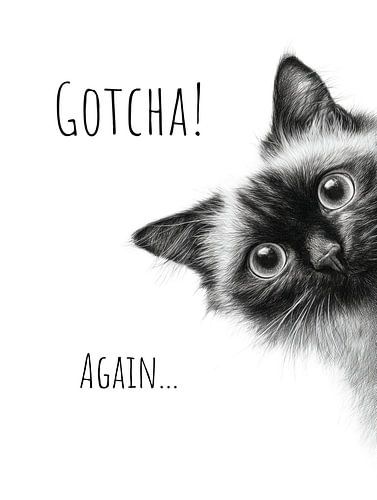 Cool Cat – Gotcha, again by Melanie Viola