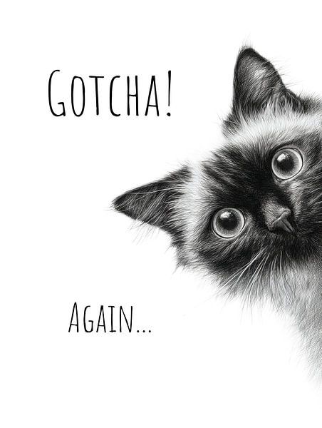 Cool Cat – Gotcha, again by Melanie Viola