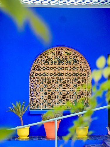 Jardin Majorelle Marrakech