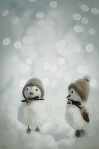 Kuikens in de sneeuw , ideetje voor een kinderkamer.