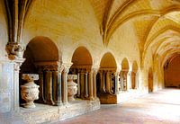 Abbey of Valmagne Languedoc