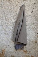 The forgotten coat