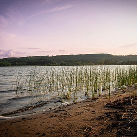 Golden Breath : un lac suédois illuminé par le soleil couchant sur Cristel Brouwer