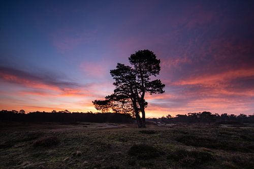 Sonnenaufgang Heidestein Driebergen Zeist