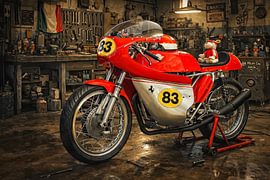 Ducati 250 cc wegracer van Rob Boon