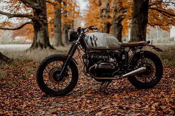 Oldtimer-Motorrad im herbstlichen Wald von Manon Notebaert
