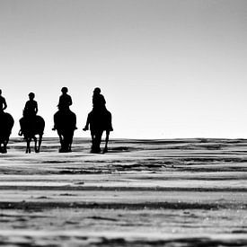 Pferde am Meer von Nederland op Foto