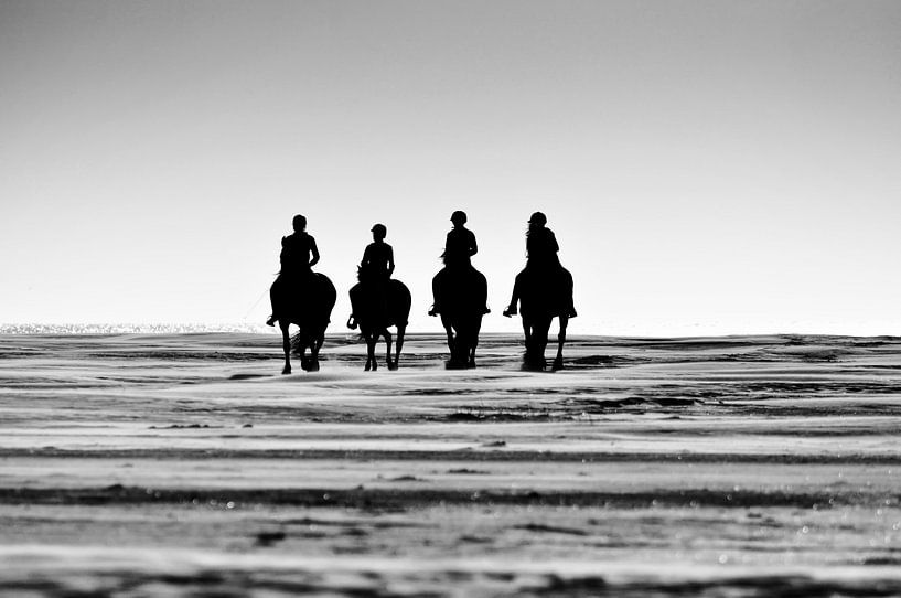 Pferde am Meer von Nederland op Foto