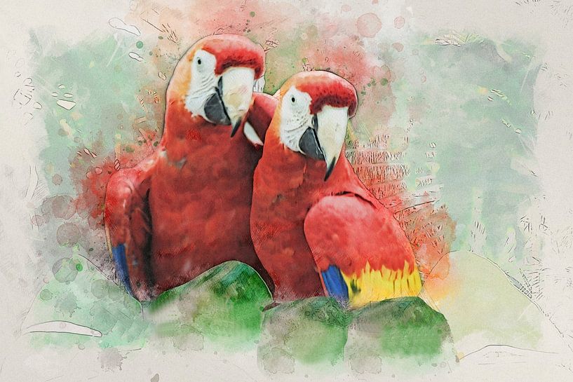 Ara by Bert Quaedvlieg