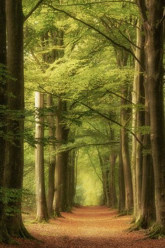 Serene rust in de Herfst.