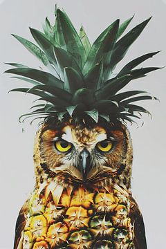 Uil ananas van Felix Brönnimann