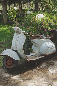 Old Vespa van Marianne Bal