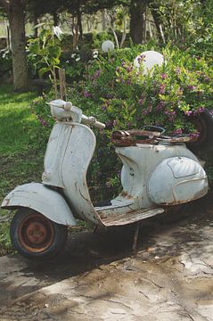 Old Vespa van Marianne Bal